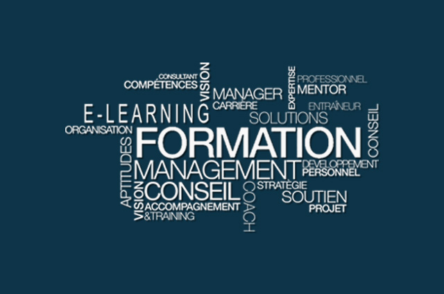 Formation et mise en situation